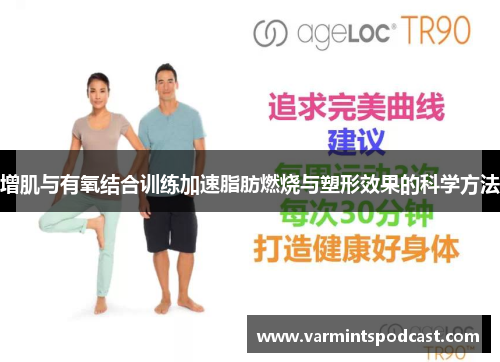 增肌与有氧结合训练加速脂肪燃烧与塑形效果的科学方法