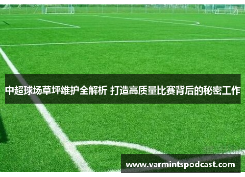 中超球场草坪维护全解析 打造高质量比赛背后的秘密工作