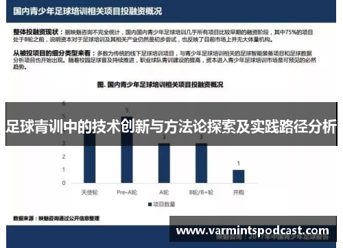 足球青训中的技术创新与方法论探索及实践路径分析